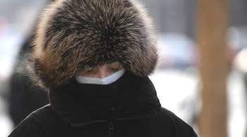 Москвичей предупредили о январских морозах в конце ноября