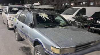 Полиция Владивостока проверяет информацию о забросанных яйцами автомобилях 