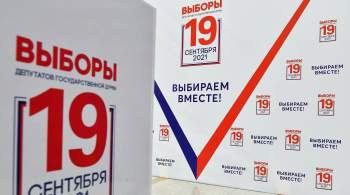 Политологи оценили явку на выборы в Госдуму в первый день голосования