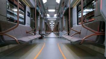 Москва закупит более 300 вагонов метро и 500 электробусов в 2022 году
