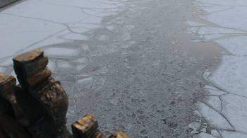 Женщина провалилась под лед на Москве-реке