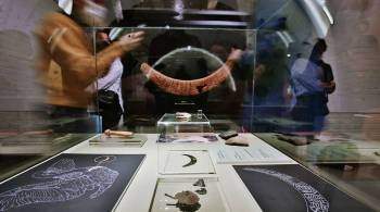 В Музее Москвы открылась выставка с артефактами из Щербинского городища