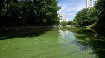 Кожуховский пруд на юге Москвы очистили от ила