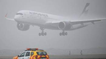 В Москве более 50 рейсов задержаны или отменены из-за тумана