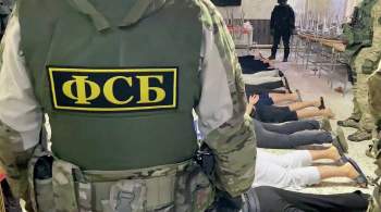 ФСБ задержала пособников террористов в восьми регионах России