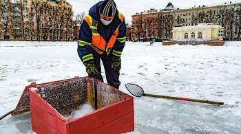 На московских прудах пробурят кислородные лунки для рыб