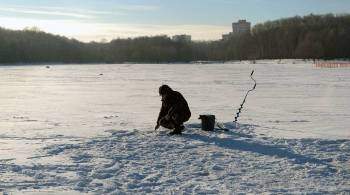 Власти Москвы предупредили об опасности тонкого льда на водоемах