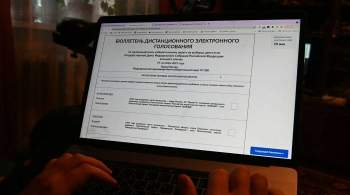 Московские власти оценили работу системы онлайн-голосования