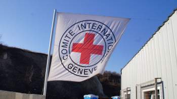 Красный Крест уточнил формат работы организации на Украине