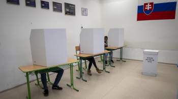 Число возможных кандидатов в президенты Словакии сократилось до десяти 