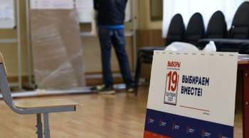 Член ЦИК рассказал, как проходит электронное голосование