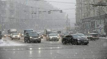 Синоптик заявил, что мокрый снег не вызовет обледенения дорог в Москве
