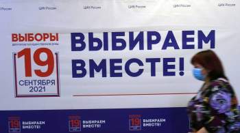 Более 25 тысяч москвичей проголосовали на выборах в Госдуму дистанционно