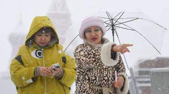 "Наблюдается тенденция". Климатолог о рекордном снегопаде в Москве