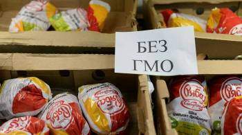 В России могут пересмотреть законодательство о ГМО