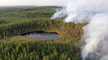 Площадь лесных пожаров в Карелии превысила девять тысяч гектаров