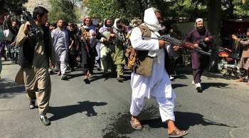 Под белыми знаменами  Талибана *: Кабул спустя месяц после смены власти