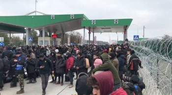 Президент Литвы заявил, что мигранты приезжают через Москву