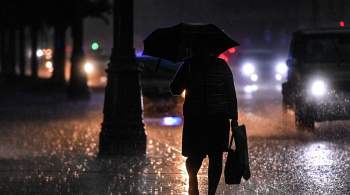 Москвичей предупредили о сильном дожде ночью