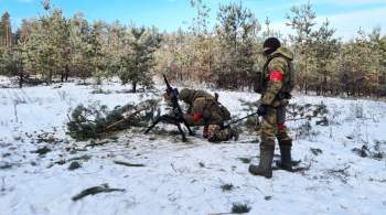 Российские военные уничтожили скрытые позиции ВСУ под Донецком 
