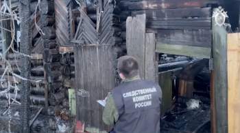 В Перми при пожаре в частном доме погибли три человека 