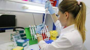 Центр Гамалеи начал адаптацию вакцин к омикрон-штамму коронавируса