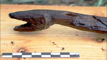 Ученые нашли деревянный посох возрастом 4400 лет, принадлежавший шаману