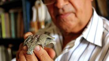 Ученые нашли останки предка нынешних крокодилов