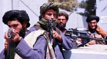 Талибы отвергли предложение лидера сопротивления в Панджшере