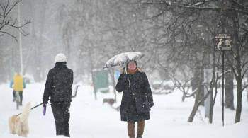 Москвичам пообещали снегопад и штормовой ветер на следующей неделе