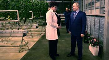 Путин посетил круглогодичный тепличный комплекс на Чукотке 