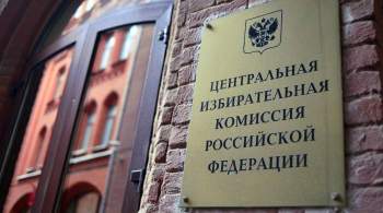 ЦИК направил в СК материалы о нарушениях на выборах в Петербурге