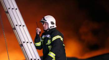 При пожаре в деревообрабатывающем цехе в Приморье пострадали три человека