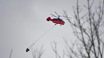 Лесопожарные службы потушили 36 природных пожаров в России за сутки