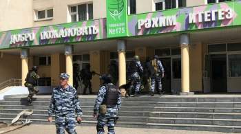 Школу в Казани, где произошло ЧП, охраняла вахтерша, сообщили власти