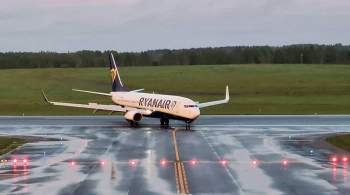 В Раде осудили реакцию властей Украины на инцидент с самолетом Ryanair