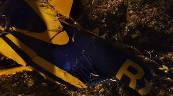 Упавший в Подмосковье вертолет Robinson использовали для экскурсий
