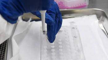 Минздрав разрешил испытания кожного теста на иммунитет к COVID-19