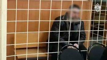 Похитивший и убивший жену в Волоколамске мужчина признал вину