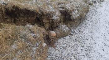В иркутском поселке нашли кости с размытого кладбища 