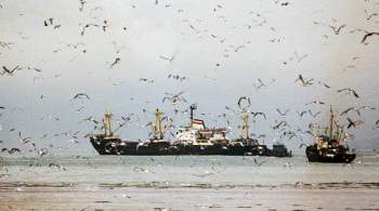 В Японии отреагировали на задержание в России рыболовецкого судна