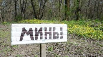 В ЛНР сообщили о подрыве украинских силовиков на собственных минах