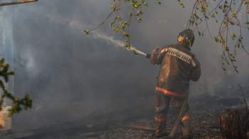 В 77 регионах России зафиксировали природные пожары