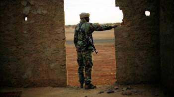Источник сообщил о гибели 31 человека при атаке боевиков в Мали