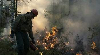 Власти рассказали о тушении пожаров в Якутии с помощью искусственных дождей