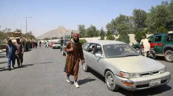 СМИ: бойцам движения  Талибан * запретили занимать пустые здания посольств