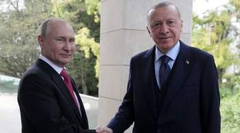 В Кремле раскрыли подробности переговоров Путина и Эрдогана