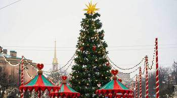 Синоптики пообещали жителям Петербурга классический Новый год