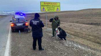 В Карачаево-Черкесии зарезали туриста из Москвы