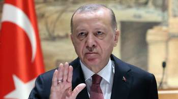 В Германии предложили  рискнуть конфликтом  с Эрдоганом из-за НАТО